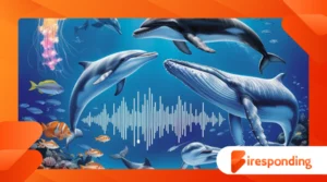 The sounds of the ocean: marine communication