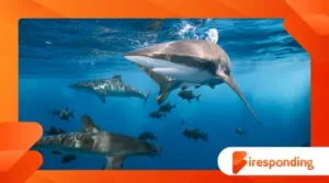 Largest predators in the seas: the hidden dangers in the ocean depths