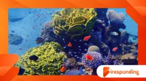 How Rising Temperatures Are Reshaping Marine Ecosystems