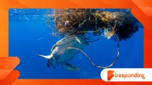 The Plastic Problem: How Oceanography Is Tackling Marine Pollution