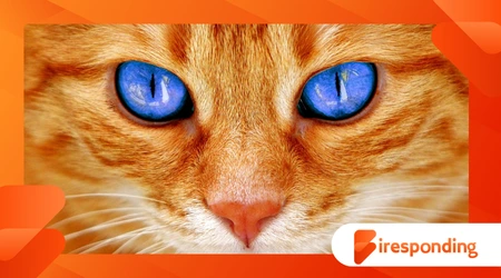 CIA’s secret plan to spy using a cat