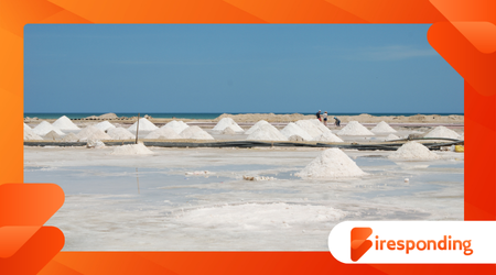 Salt Was Once More Valuable Than Gold