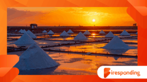 Why Salt Was Once More Valuable Than Gold: A Look Into the Salt Trade Routes