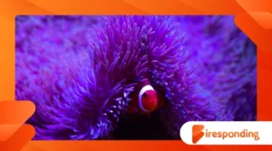 Marine Ecosystems: An Introduction to Ocean Life