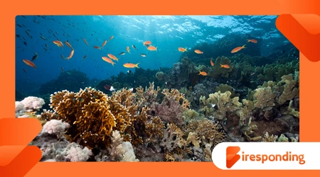 Ocean’s Role in the Water Cycle