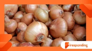 Why Ancient Egyptians Worshipped Onions