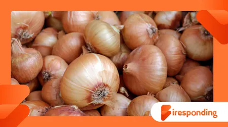 Ancient Egyptians Worshipped Onions