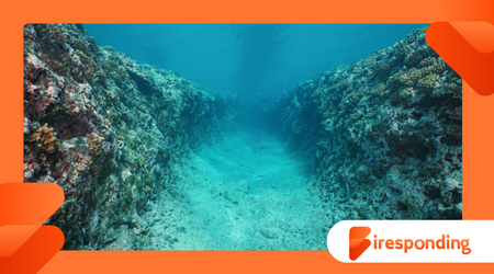 Branches of Oceanography Explained