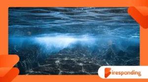 Why the Ocean Glows: Bioluminescence and the Creatures That Light Up the Deep