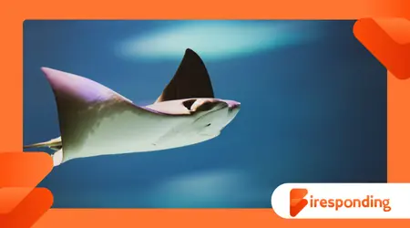 Life and Mystery in the Ocean’s Midwater Layer