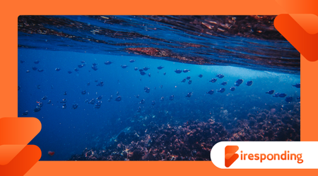 Life and Mystery in the Ocean’s Midwater Layer