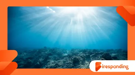 The Ocean’s Carbon Cycle: How the Sea Regulates Our Climate