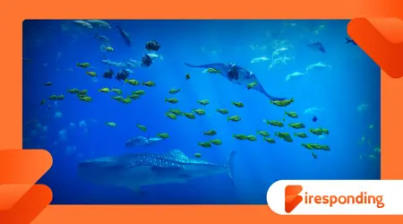 The Ocean’s Carbon Cycle: How the Sea Regulates Our Climate