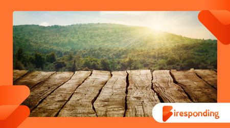 5,000-Year-Old Wooden Road Was Found Preserved in a Bog