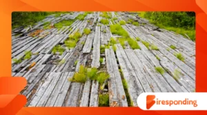How a 5,000-Year-Old Wooden Road Was Found Preserved in a Bog