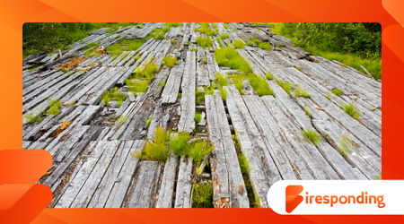 5,000-Year-Old Wooden Road Was Found Preserved in a Bog