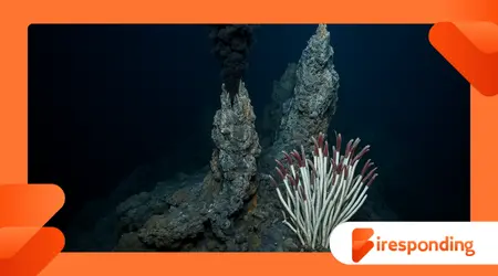 How Deep-Sea Vents Create New Ecosystems
