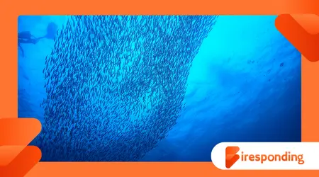 How Ocean Currents Influence Marine Migration Patterns