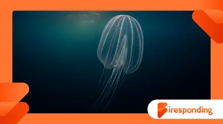 The Ocean Twilight Zone Where Light Fades and Life Adapts