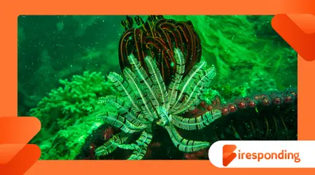 The Ocean’s Hidden Pharmacy Discovering New Medicines Underwater