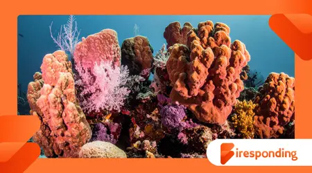 The Ocean’s Hidden Pharmacy Discovering New Medicines Underwater