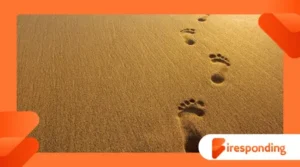 How Ancient Footprints Rewrite Human History