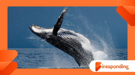 The Sound of Whales What Bioacoustics Reveals About Marine Giants