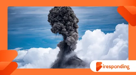 The Year Without Summer