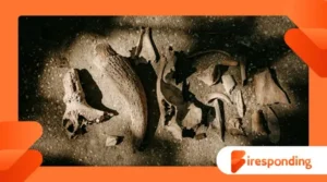 When Archaeology Meets Forensics: Solving Ancient Crimes