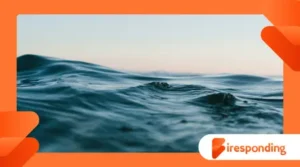 Oceanography of marine heatwaves and ecosystem collapse risks