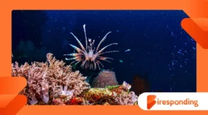 Oceanography of deep-sea ecosystems beyond 9000 meters depth