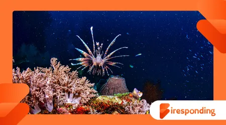 Oceanography of deep-sea ecosystems beyond 9000 meters depth