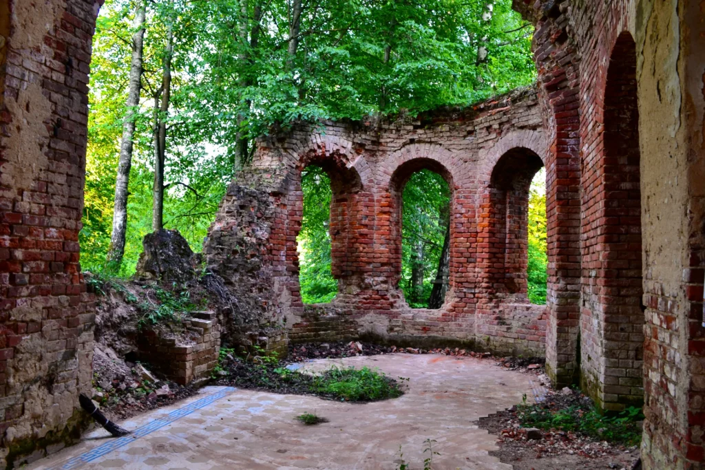 Burn Layers in the Soil Reveal Forgotten