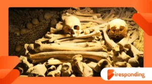 How Ancient Diets Are Reconstructed Through Teeth and Bones