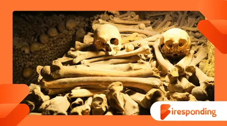 How Ancient Diets Are Reconstructed Through Teeth and Bones