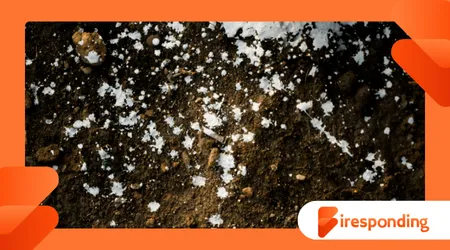 The Role of Soil Chemistry in Identifying Ancient Human Settlements