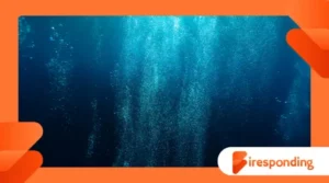 Oceanography of oxygen minimum zones and marine survival
