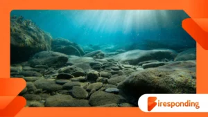 Submarine canyons shaping biodiversity beneath the oceans