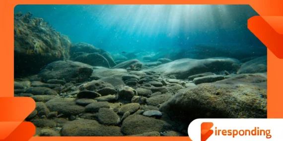 Submarine canyons shaping biodiversity beneath the oceans